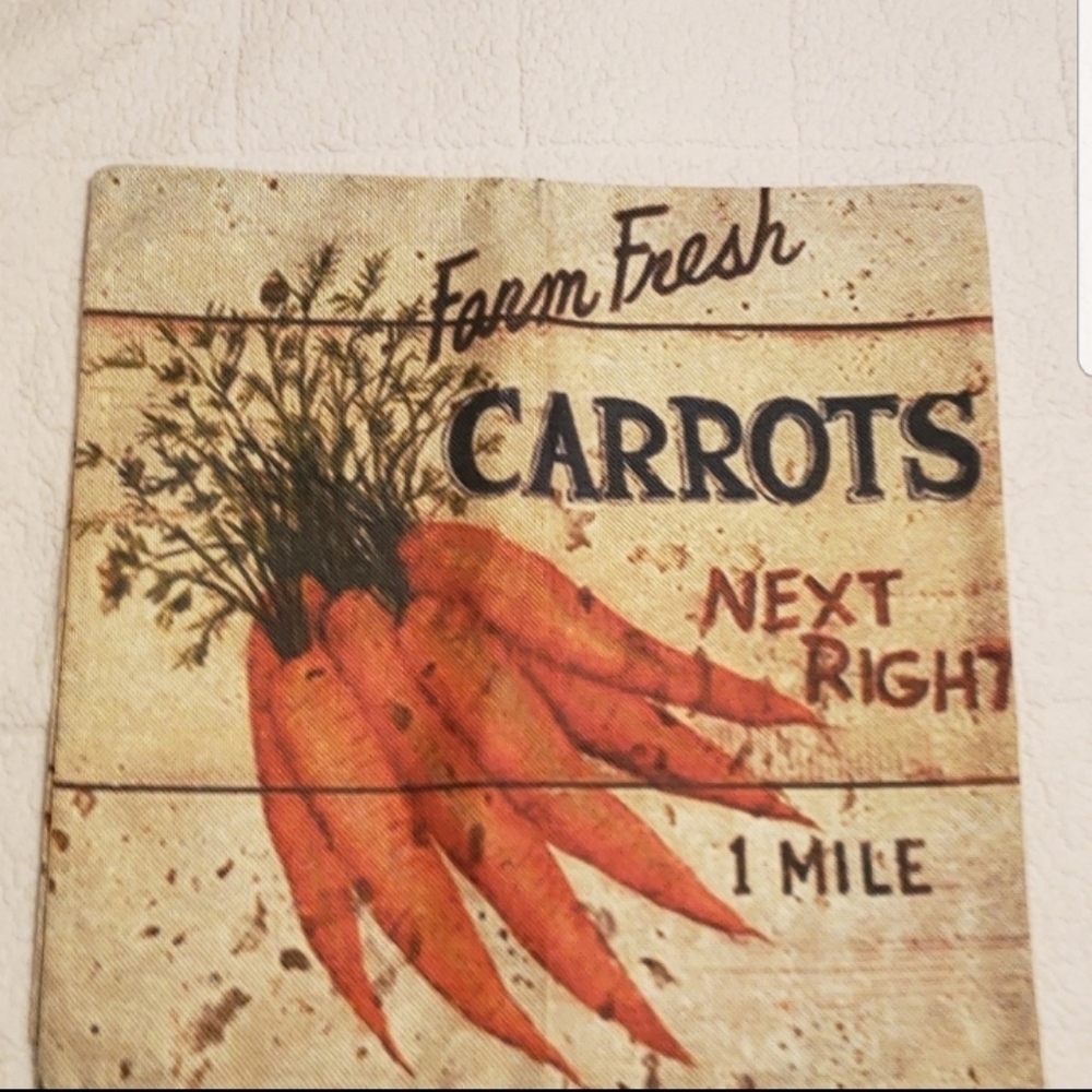 New Carrot Pillow Cover 18"X18‎